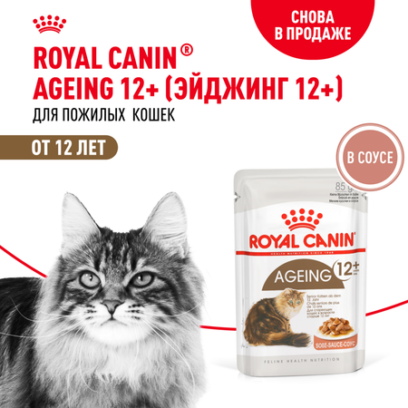 Корм для кошек ROYAL CANIN Ageing 85гр для пожилых 12+ желе соус пауч