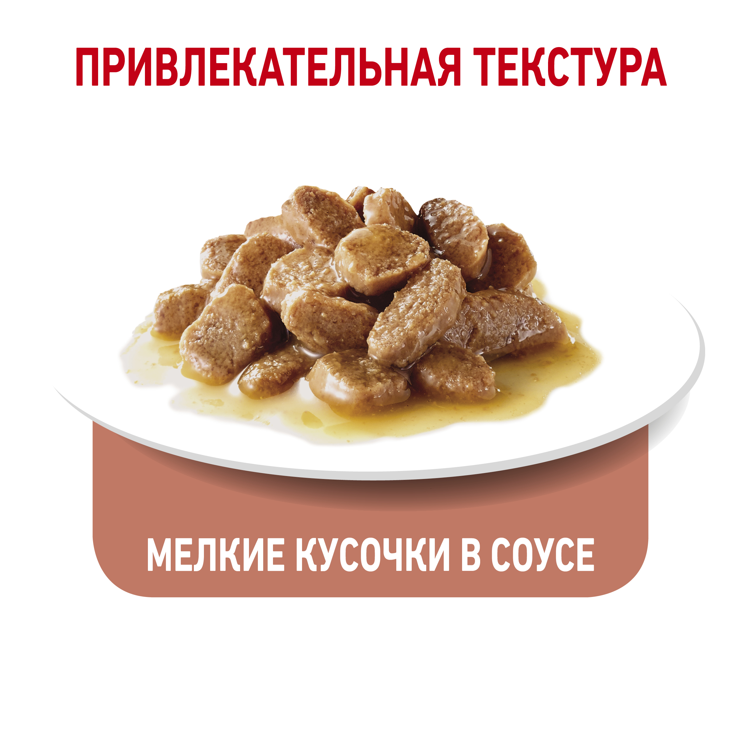 Влажный корм для кошек ROYAL CANIN 0.085 кг - фото 8