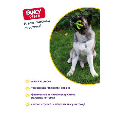 Игрушка для животных FANCY Кактус