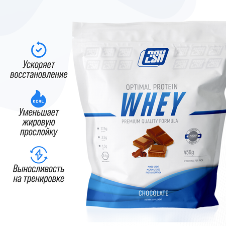 Протеин сывороточный 2SN Whey Protein 12 порций 450 г Шоколад