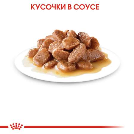 Корм влажный для пожилых кошек ROYAL CANIN Ageing 85г соус пауч