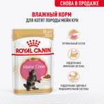 Влажный корм для кошек ROYAL CANIN кг (полнорационный)