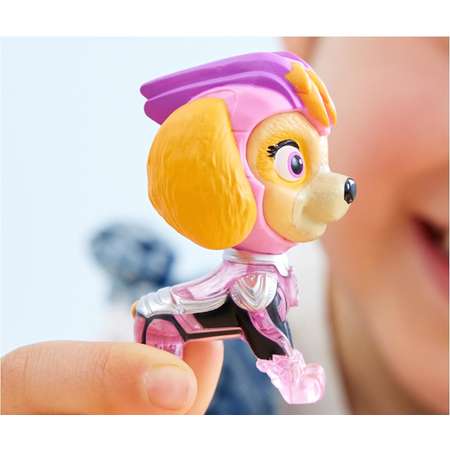 Набор игровой Paw Patrol Skye 6067506