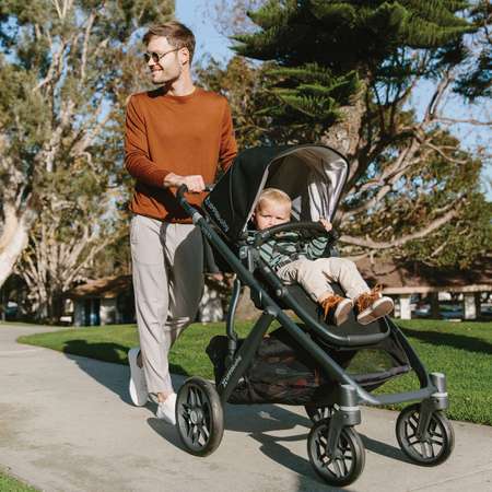 Коляска 2 в 1 UPPAbaby Vista 2018 Denny True Red