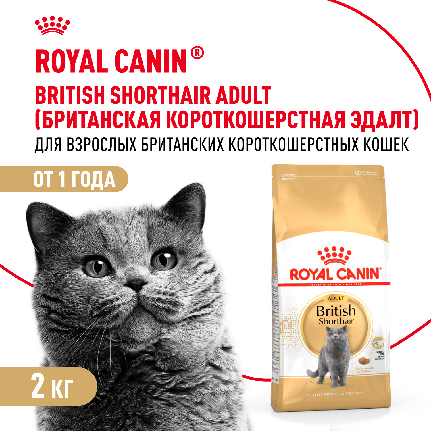 Корм ROYAL CANIN British Shorthair 2 кг для кошек британской короткошерстной породы - фото 1