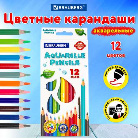 Карандаши цветные Brauberg акварельные трехгранные 12 цветов грифель мягкий