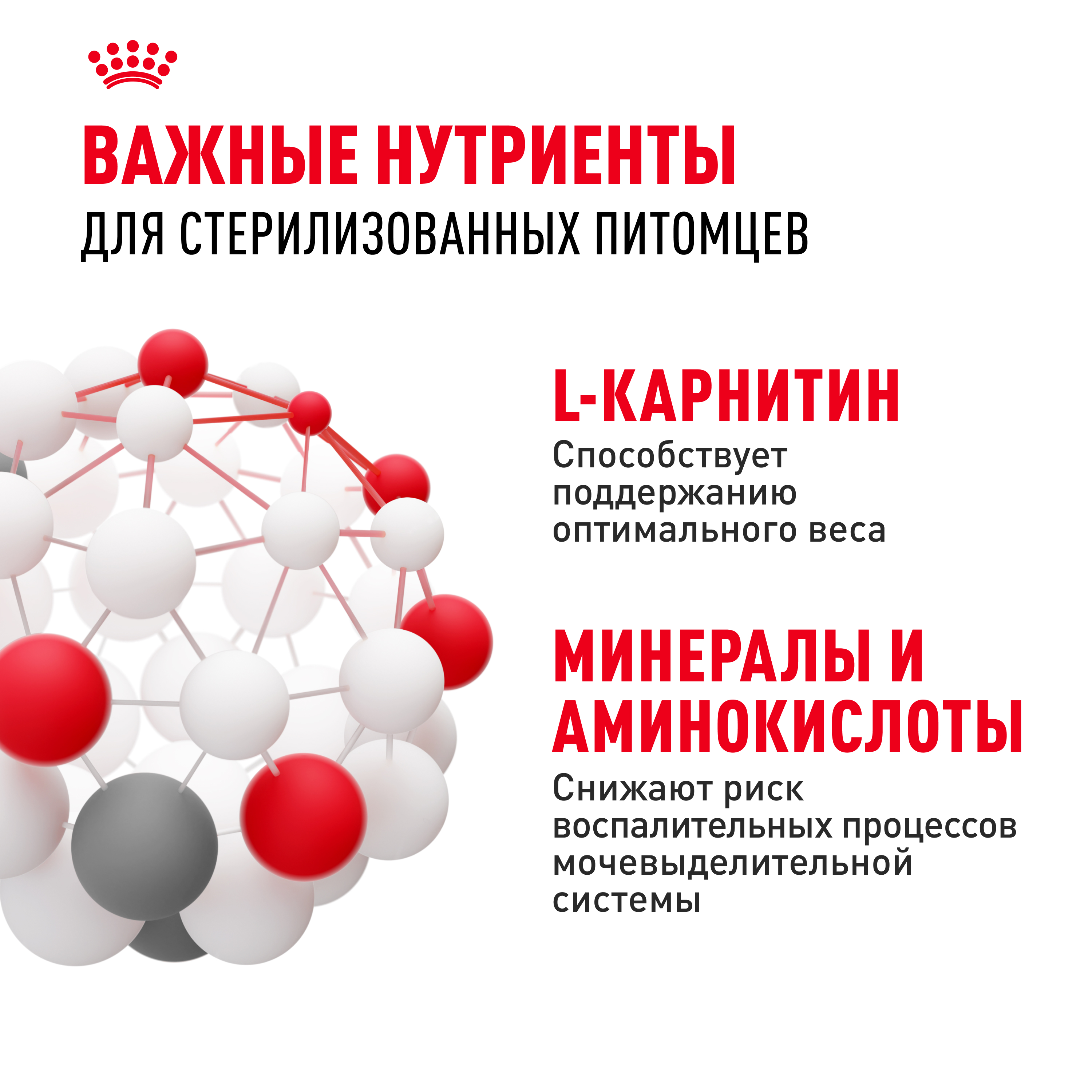 Корм сухой ROYAL CANIN Sterilised 37 400г для стерилизованных кошек - фото 13