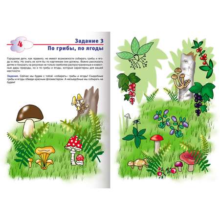 Набор книг Hatber Тестовые задания для детей 5-6 лет. 4 шт