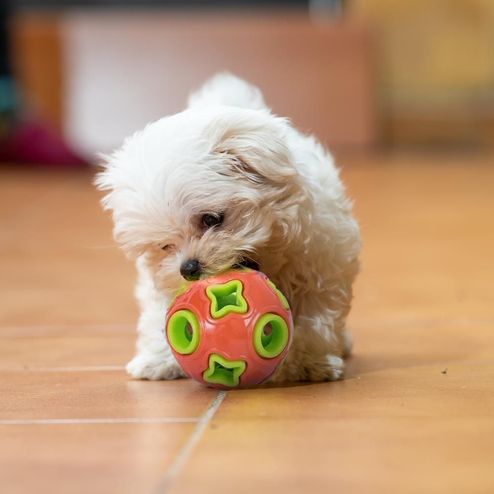 Игрушка мяч дозирующий корм ZDK Для собак ZooWell Play с колокольчиком оранжевый - фото 10