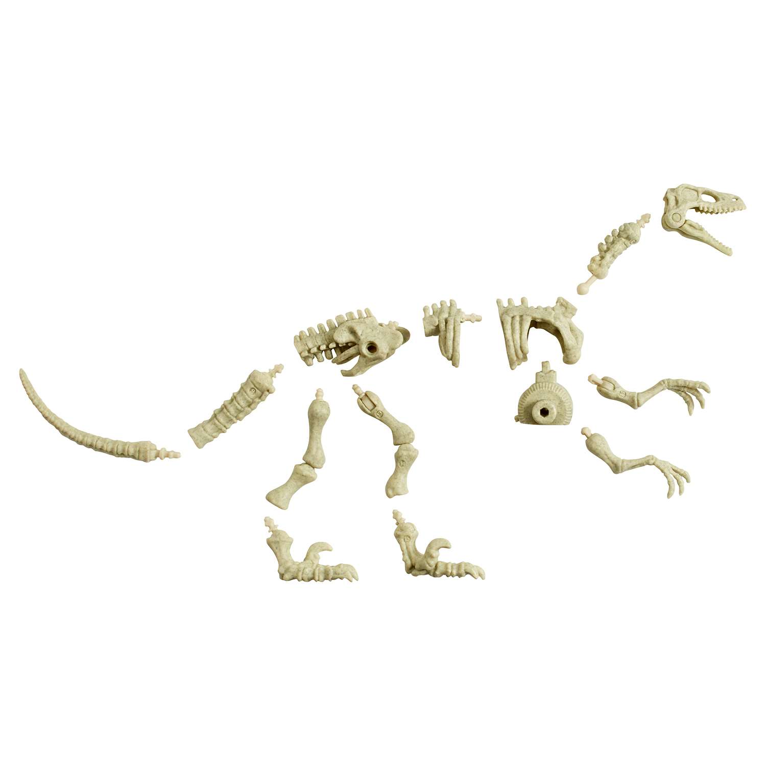 Набор Jurassic World Скелет базовый Велоцираптор FTF06 - фото 3