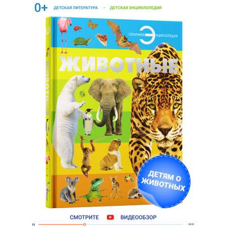 Книга Харвест Книга большая Энциклопедия для детей школьников Животные для чтения с иллюстрациями