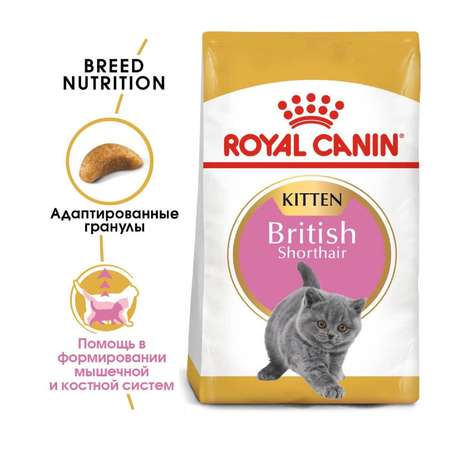Корм сухой для котят ROYAL CANIN British Shorthair 10кг породы британской короткошерстной