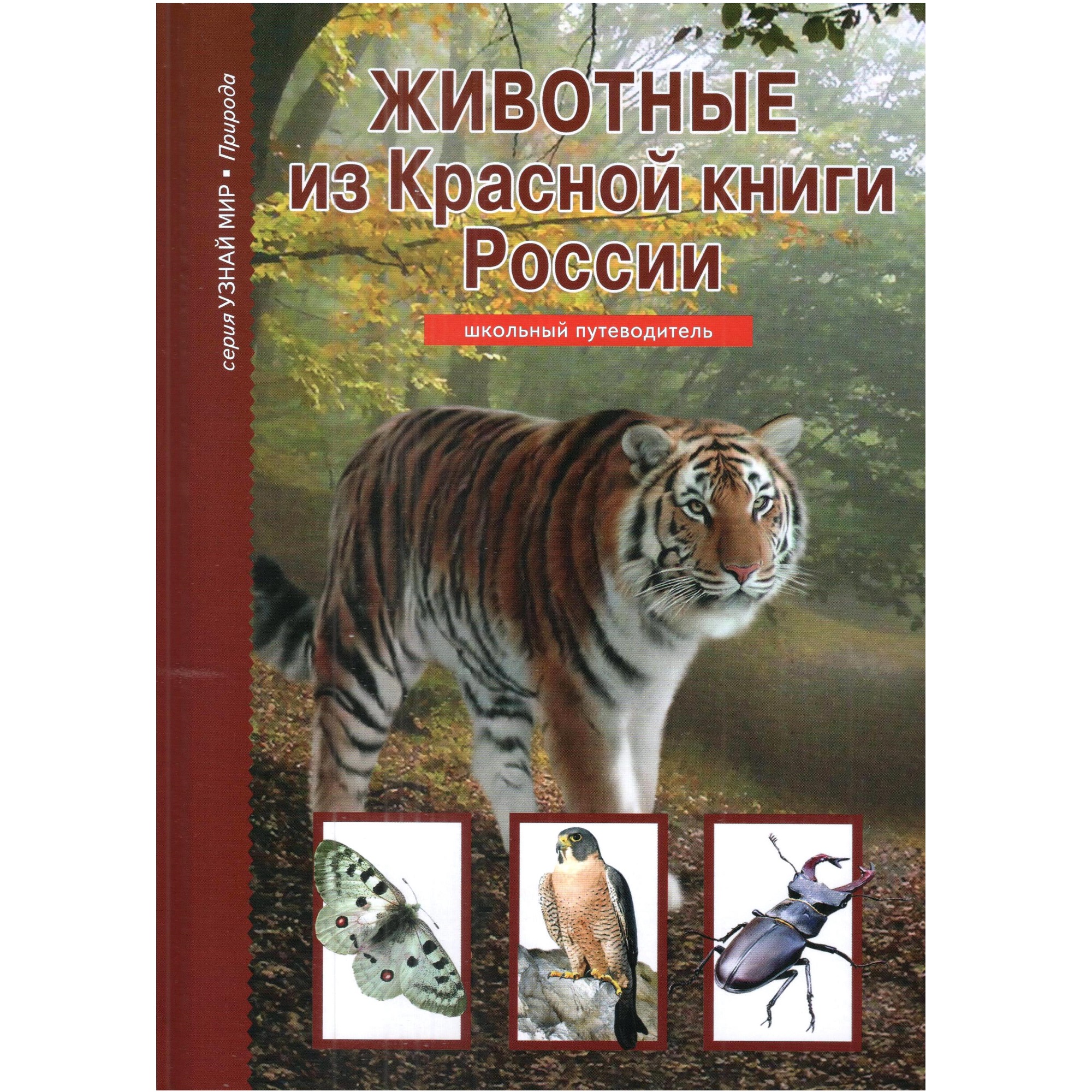 Книга Лада Животные из Красной книги России. Школьный путеводитель - фото 1