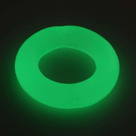 Игрушка Пижон для собак «Кольцо» светящаяся в темноте 9 5 см