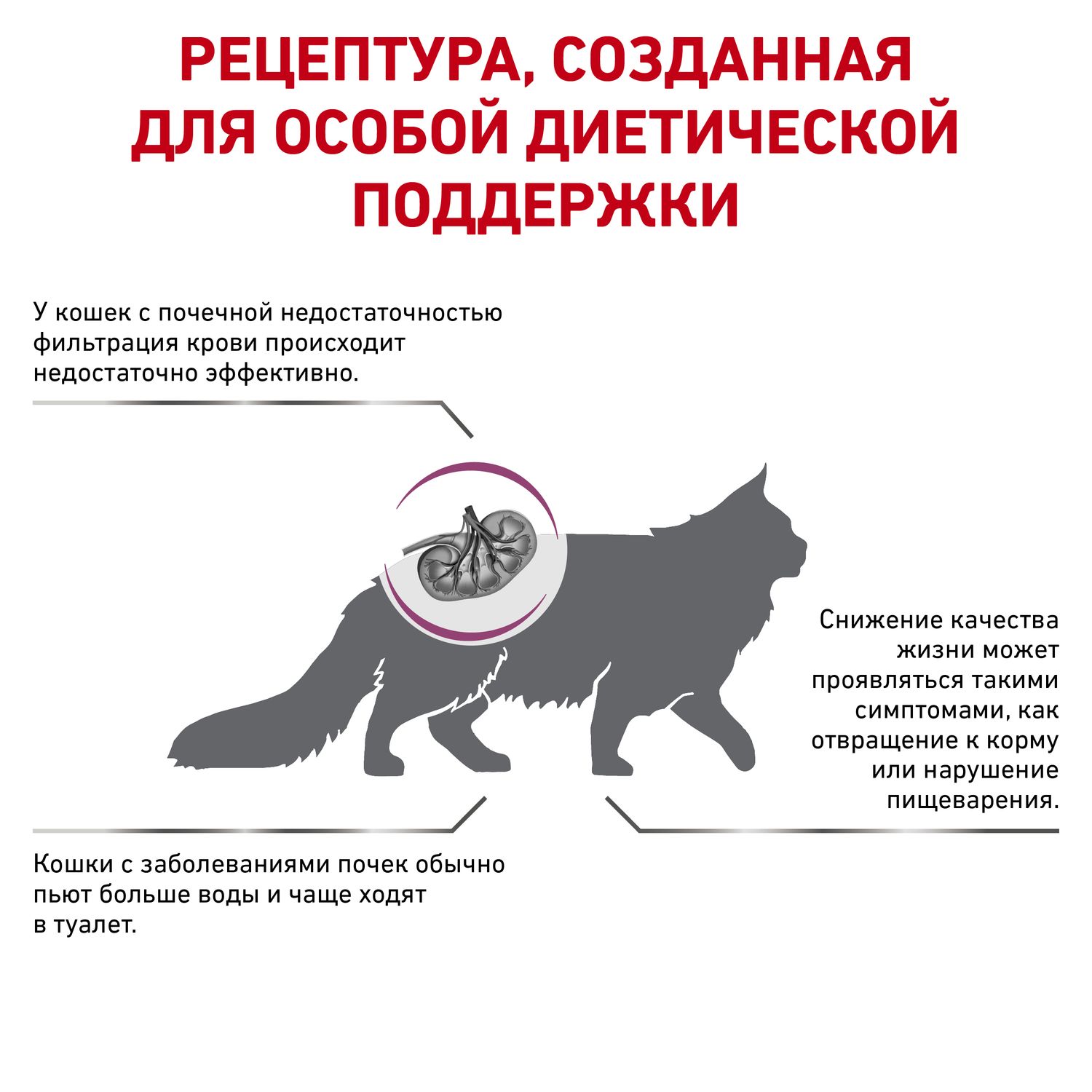 Корм для кошек ROYAL CANIN Renal Select с хронической почечной недостаточностью 0.4кг - фото 3