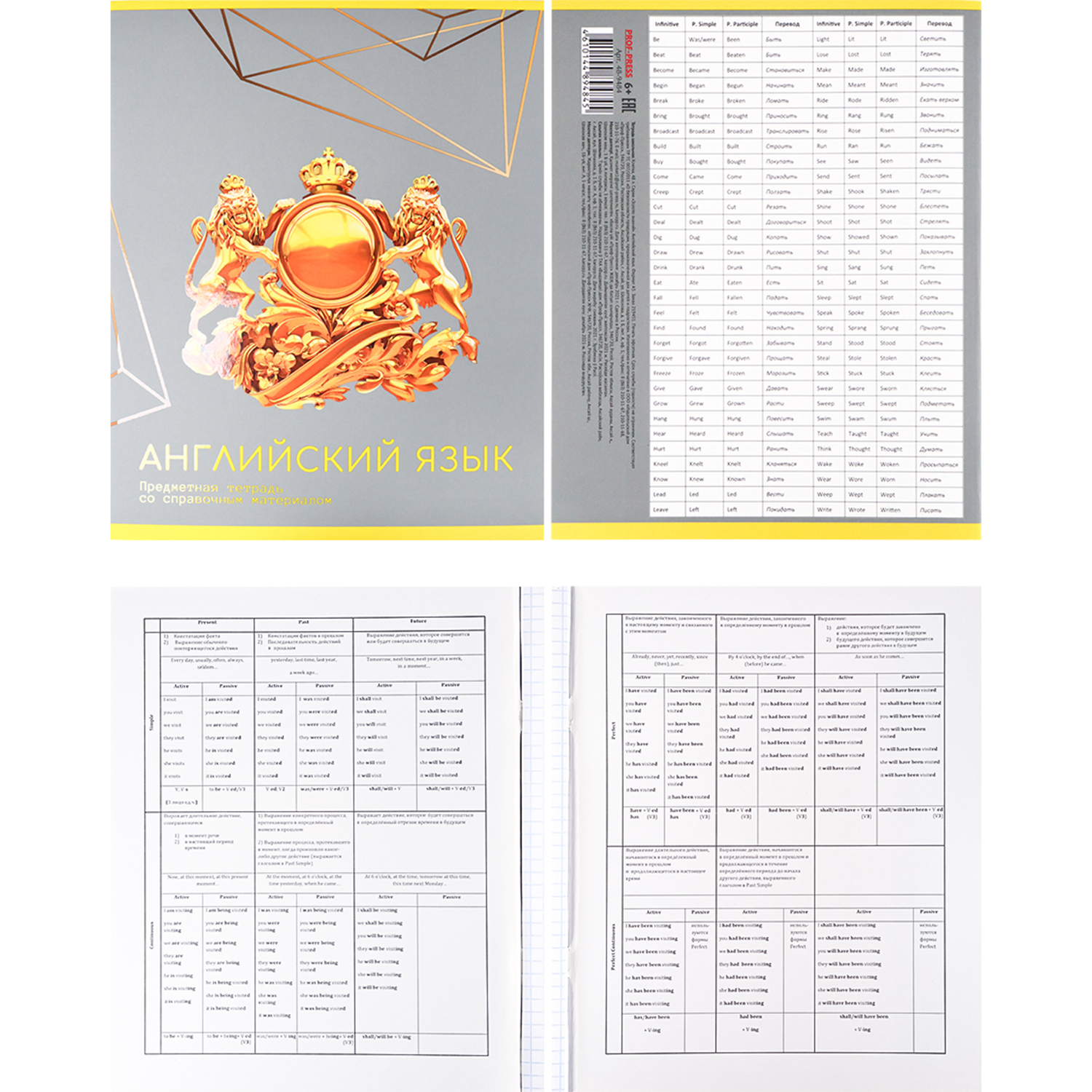 Набор предметных тетрадей Prof-Press Золото знаний 48 листов 12 тетрадей - фото 6