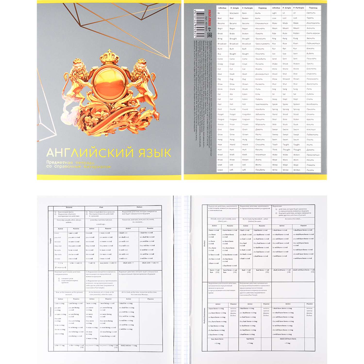 Набор предметных тетрадей Prof-Press Золото знаний 48 листов 12 тетрадей - фото 6