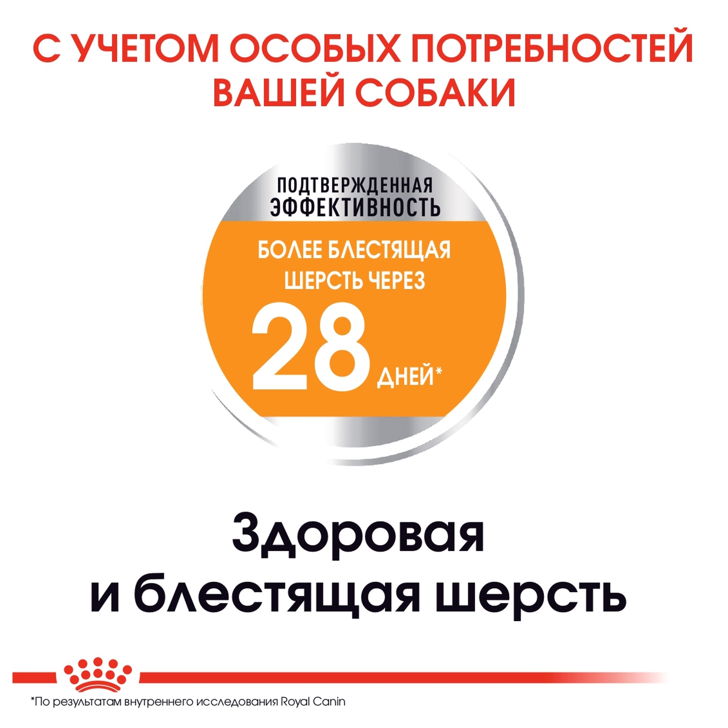 Сухой корм для собак ROYAL CANIN 3 кг (для домашних, для вывода шерсти, полнорационный) - фото 4