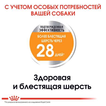 Сухой корм для собак ROYAL CANIN 3 кг (для домашних, для вывода шерсти, полнорационный)