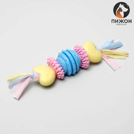 Игрушка Пижон жевательная для собак Premium на верёвке 5 элементов термопластичная резина микс