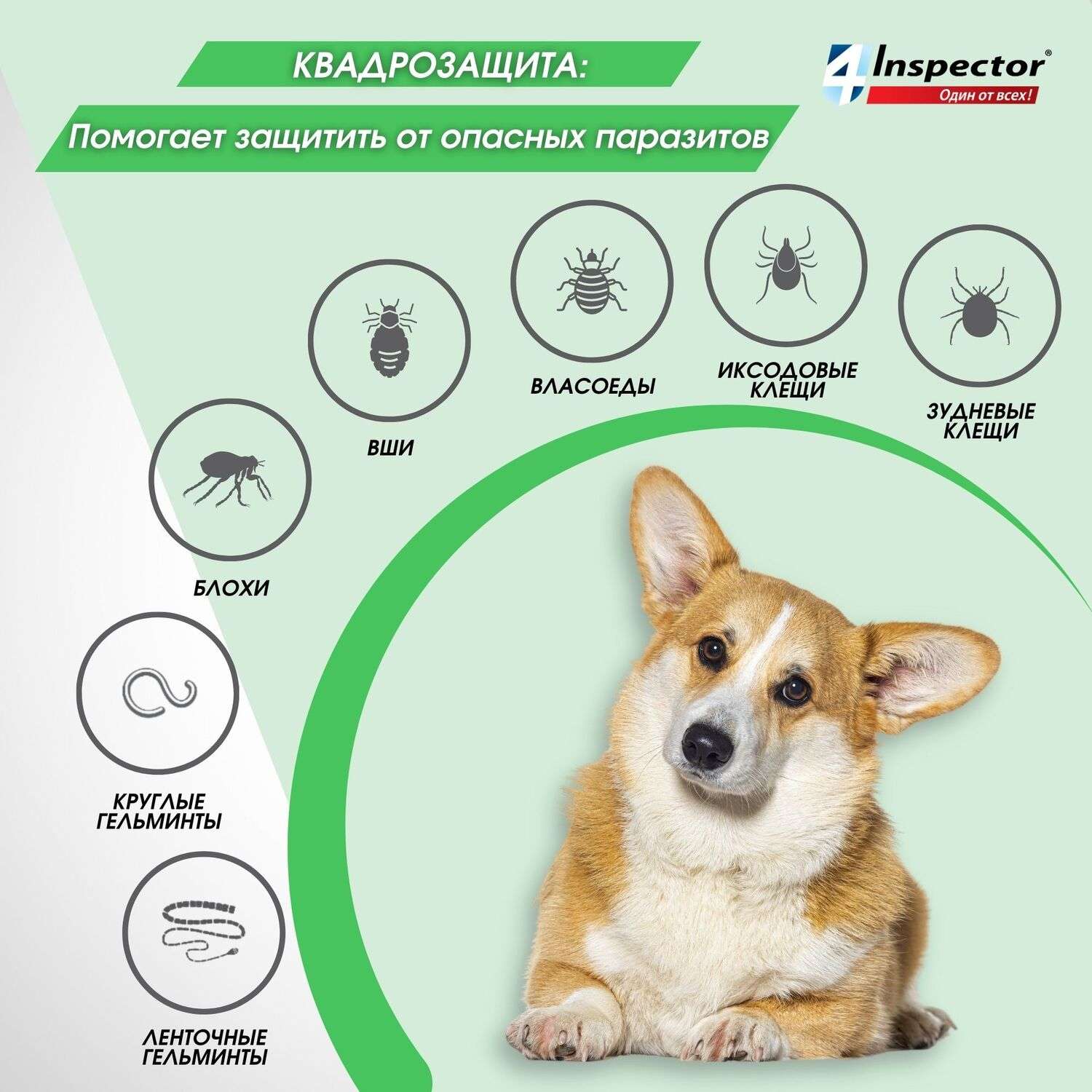 Капли для собак Inspector Quadro 4-10кг от наружных и внутренних паразитов 1мл - фото 4