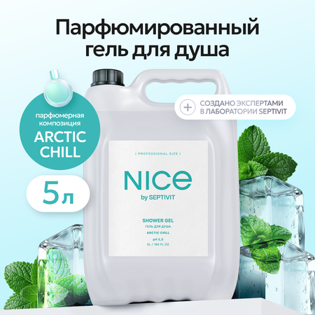 Гель для душа NICE by Septivit Arctic chill 5л