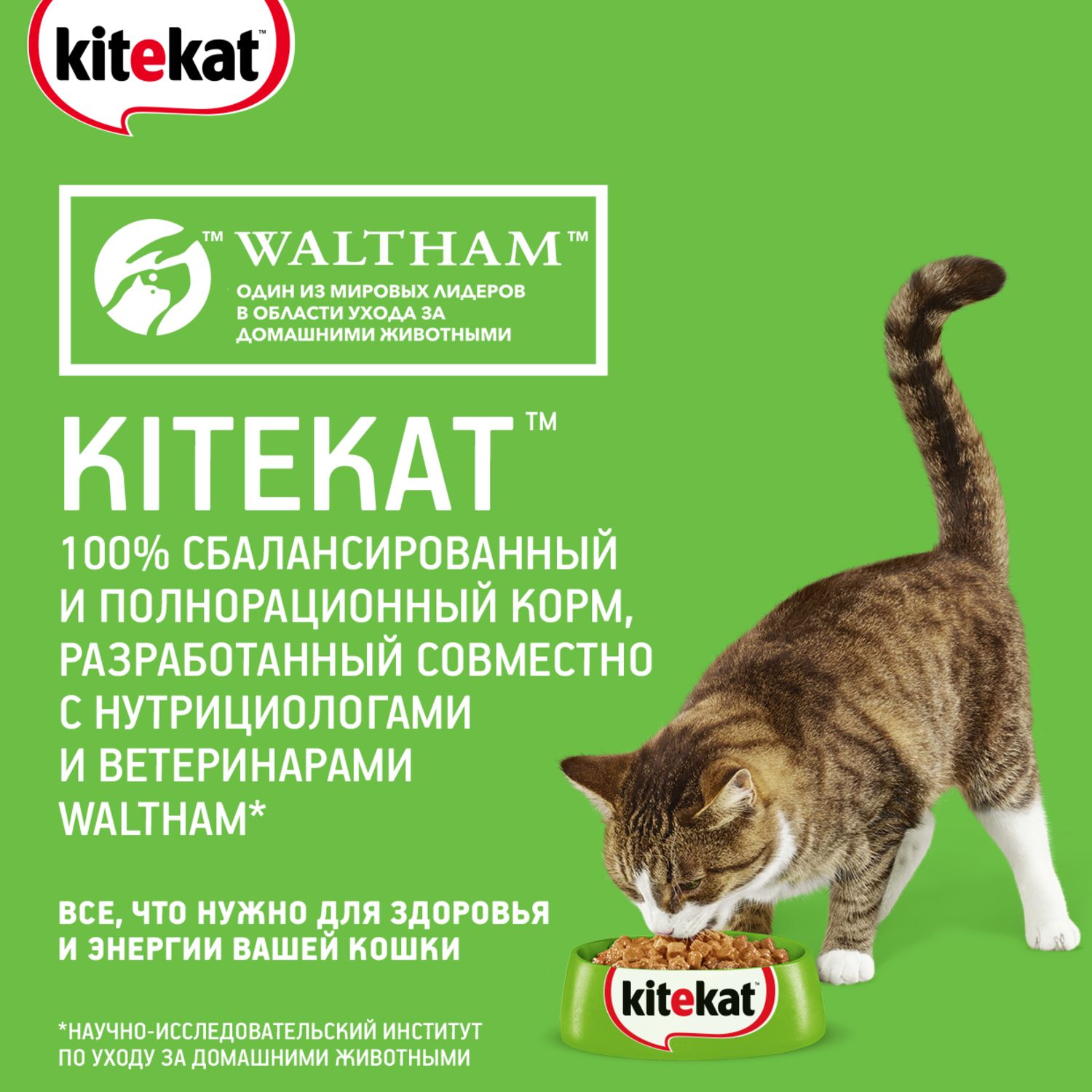 Сухой корм для кошек KiteKat 5 кг мясо (полнорационный) - фото 4