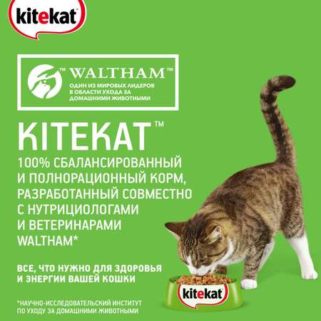 Корм для взрослых кошек KiteKat 5кг Мясной пир