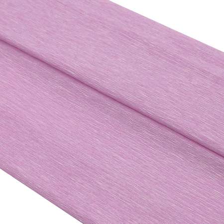 Бумага Astra Craft креповая упаковочная для творчества и флористики 50х200 см 35 гр/м2 2 шт розовая