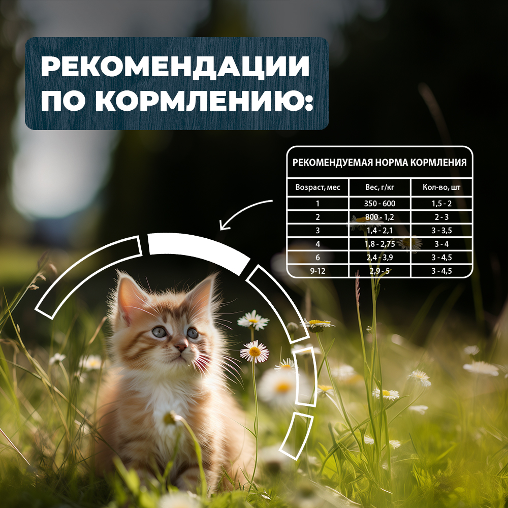 Корм для котят Родные корма По-ростовски курица-потрошки кусочки в соусе 85г - фото 5