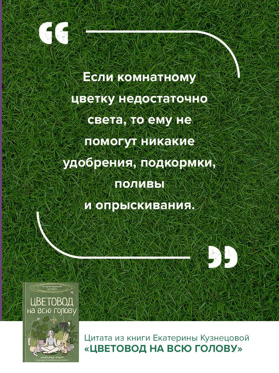 Книга АСТ Хобби Цветовод на всю голову. Шпаргалка-трекер по уходу за комнатными растениями - фото 4