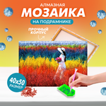 Алмазная мозаика Solmax Девушка на лугу на подрамнике 40х50см