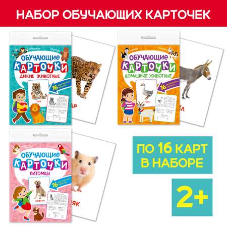 Карточки Проф-Пресс обучающие 3 комплекта по 16 шт 17х22 см. Дикие+Домашние животные+Питомцы