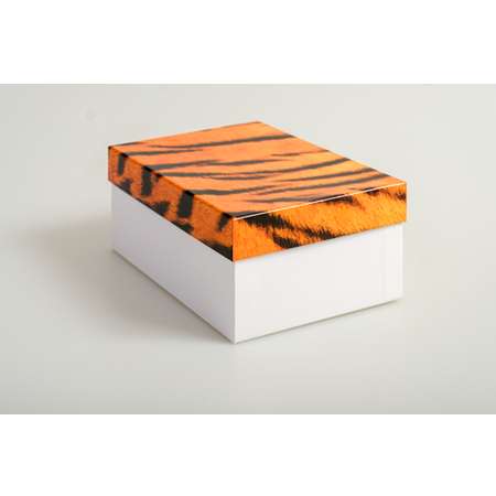 Коробка подарочная Cartonnage крышка-дно Animals тигр разноцветный белый