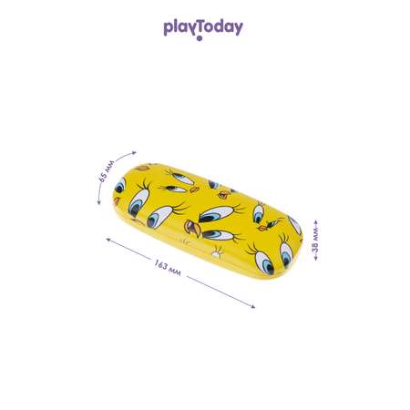 Чехол для солнцезащитных очков PlayToday