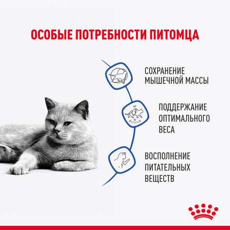 Корм для кошек Royal Canin 85г Light Weight Care соус для профилактики избыточного веса пауч