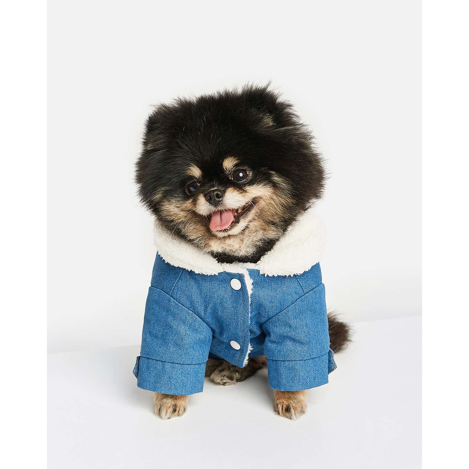Куртка для собак Zoozavr синий 25 - фото 1