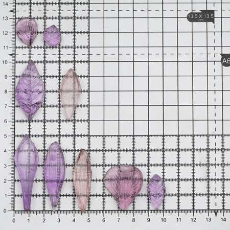 Молды - шаблоны Айрис односторонние для творчества флористические пластиковые Мини 10 шт