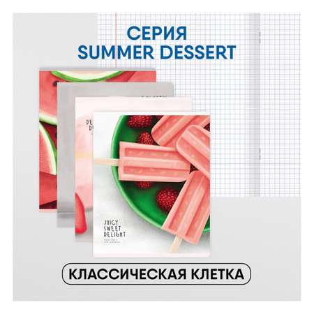 Тетрадь BG Summer dessert 48л. А5 клетка матовая ламинация 4 шт