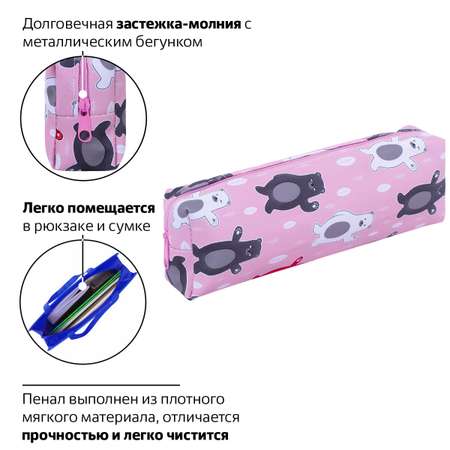 Пенал-косметичка Пифагор на молнии прямоугольный Медведи