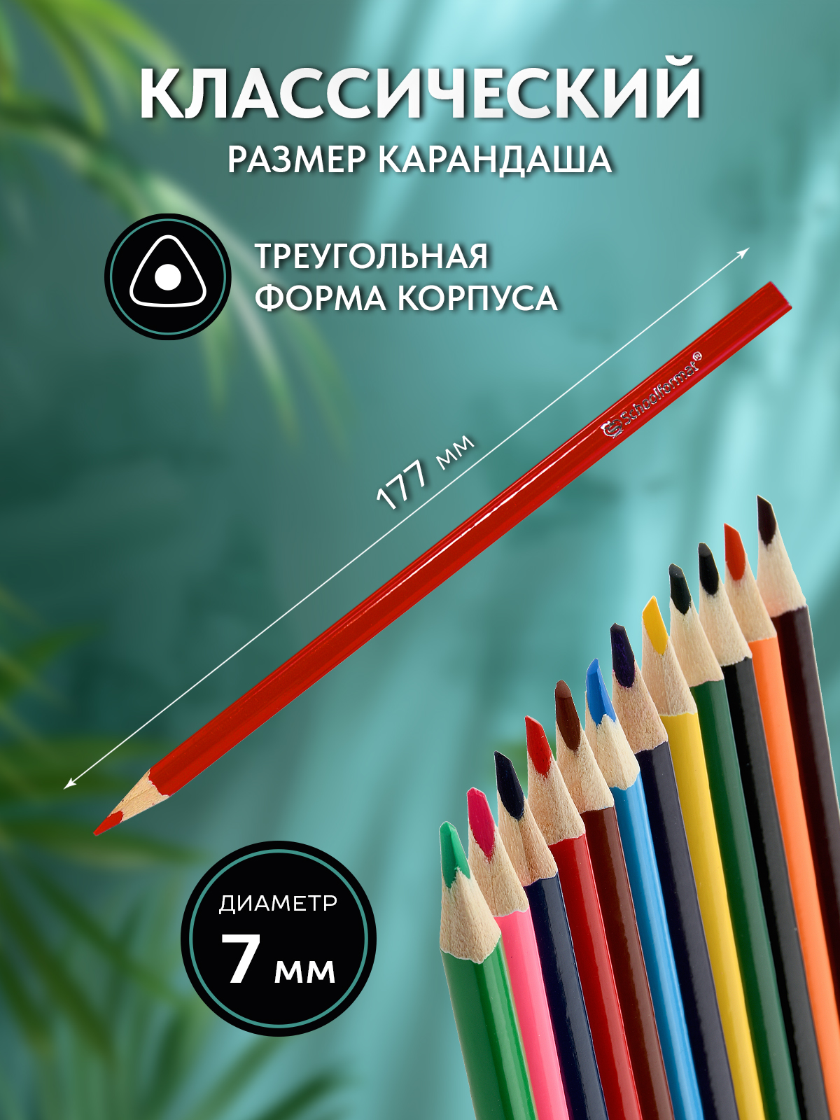 Карандаши SCHOOLFORMAT Дикая планета 24 цвета трехгранные - фото 4