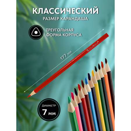 Карандаши SCHOOLFORMAT Дикая планета 24 цвета трехгранные