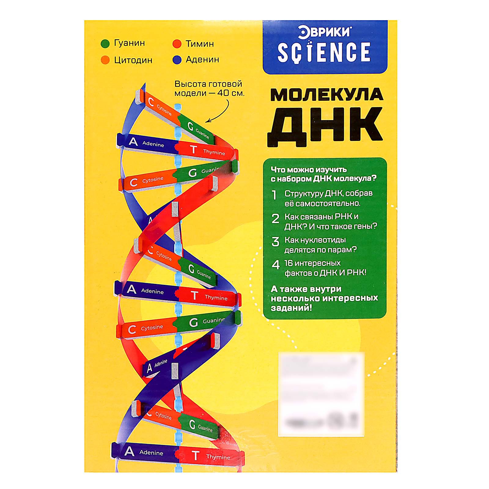 Набор Эврики Для опытов «Молекула ДНК» - фото 8