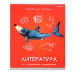 Тетрадь Prof-Press 48 лист. (Литература)