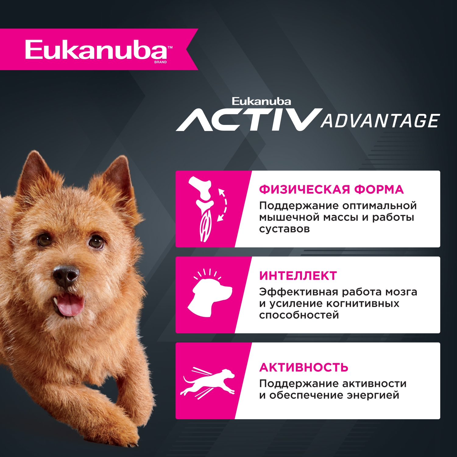 Корм Eukanuba Dog 15кг для взрослых собак мелких пород сухой - фото 3