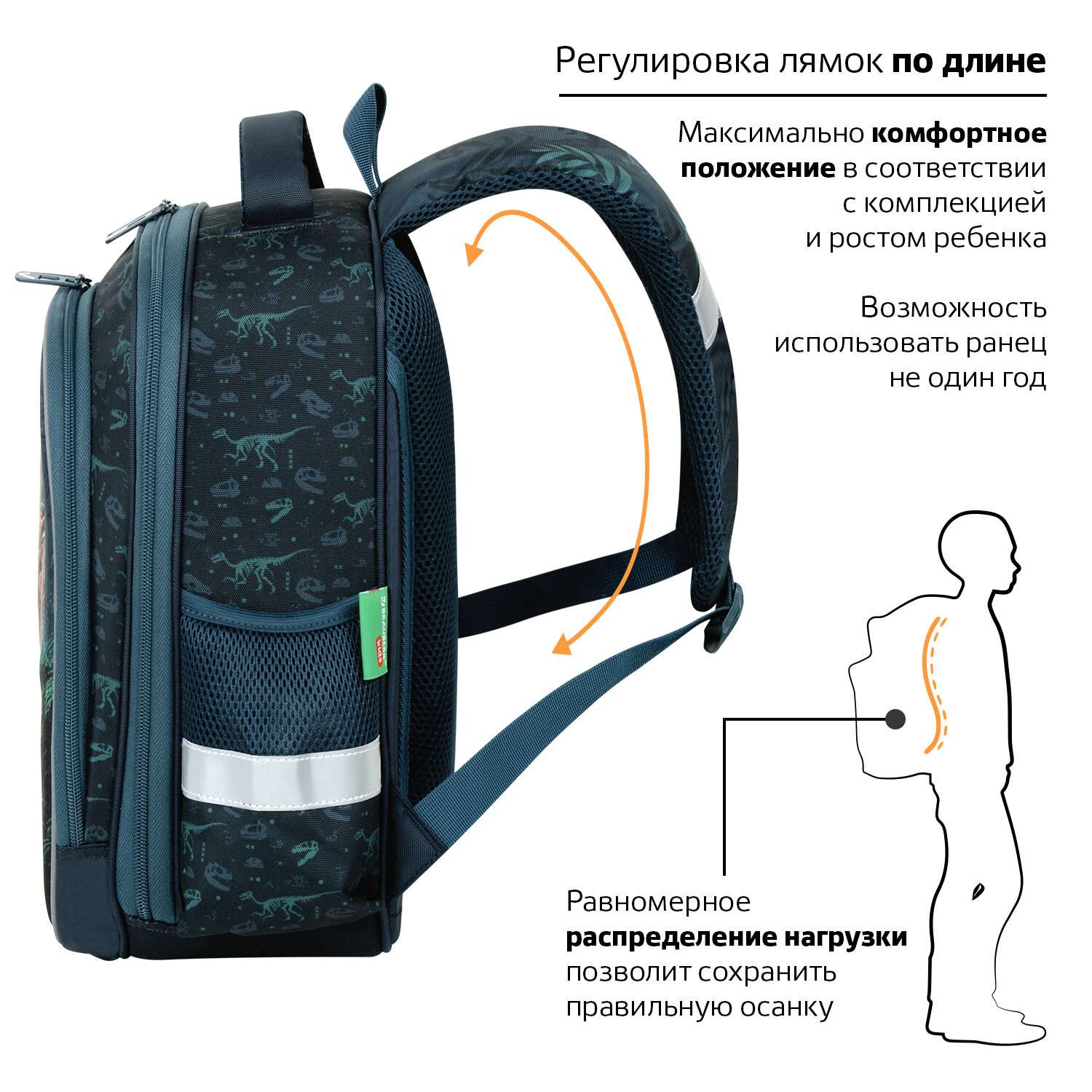 Рюкзак школьный Brauberg портфель детский ранец в 1 класс - фото 5