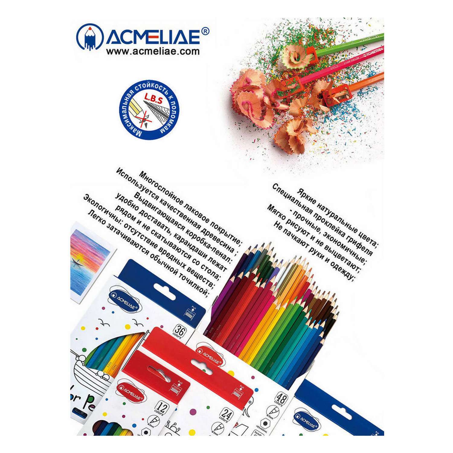 Карандаши цветные ACMELIAE 24 цвета в картонном футляре - фото 6