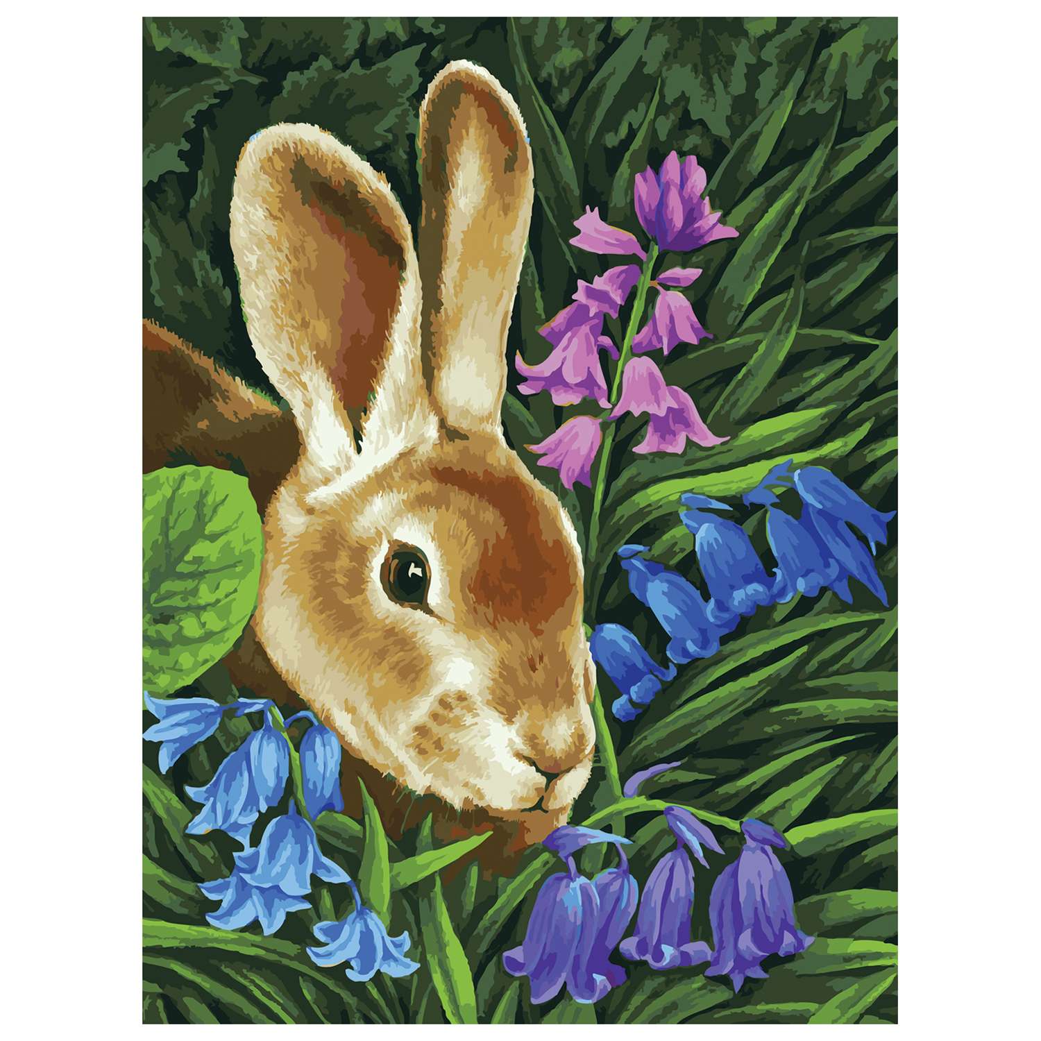 Набор для рисования Белоснежка Кролик (115-AS) - фото 1