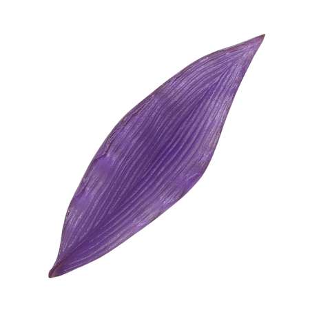 Молд - шаблон Айрис односторонний для творчества флористический пластиковый Лист тюльпана 15*4.5 см