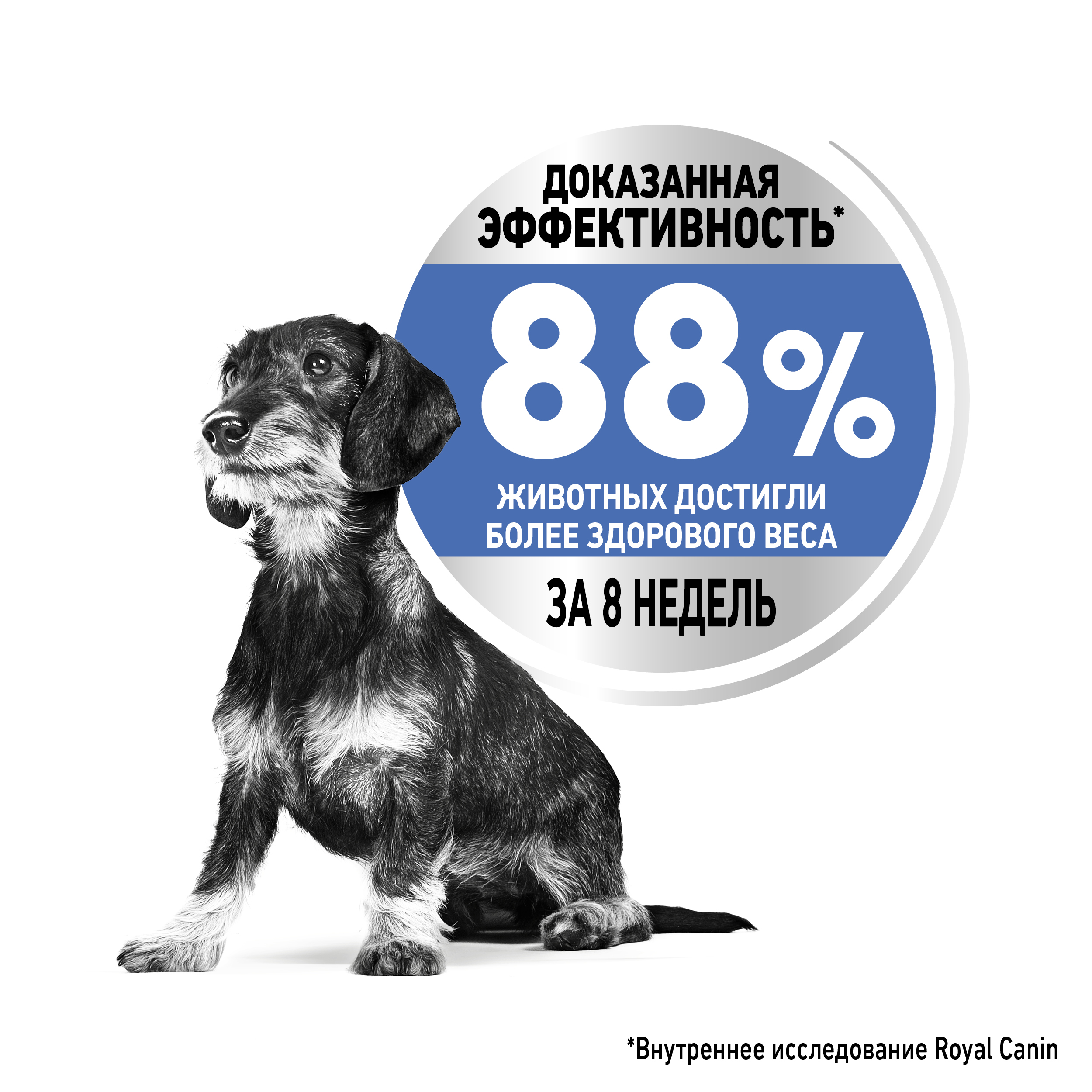 Корм для собак ROYAL CANIN Mini Light Weight Care мелких пород с избыточным весом 3кг - фото 6